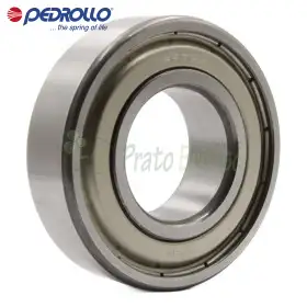 6205 ZZ - Ball bearing 25x52x15 mm Pedrollo - 1