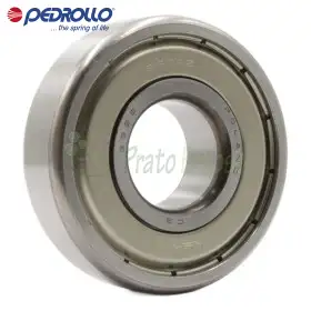 6304 ZZ-C3 - Roulement à billes 20x52x15 mm Pedrollo - 1