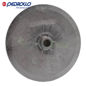 164GRJSP16B - Rotor centrifugal Pedrollo - 1