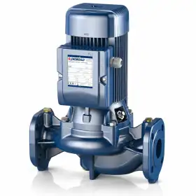 WR 65/125C - Pompe électrique centrifuge triphasée 3 CV