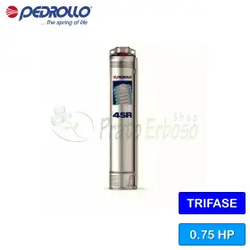 4SR 6/4 S-HYD - Pompe submersible de 150 litres OFFRE Pedrollo - 1