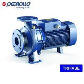 F 100/250B - Pompă electrică centrifugă standard trifazată de 75 CP Pedrollo - 1