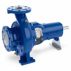 Pompa centrifuga FG2-50/250C Pedrollo - uso civile, industriale e agricolo Pompa centrifuga FG2-50/250C Pedrollo - uso civile, industriale e agricolo