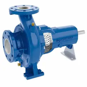 Bomba centrífuga FG2-65/125C Pedrollo EN733 para agua limpia