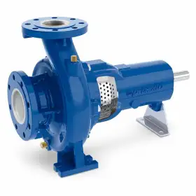 FG2-65/125B - Pompă centrifugă standardizată cu suport Pedrollo - 1