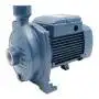 CPm 100 - 0,33 PS einphasige elektrische Kreiselpumpe
