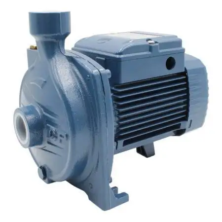 Pompă electrică centrifugă monofazată CPm 100 - 0,33 CP Pedrollo - 1