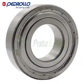 6206 2RS-C3E - Rodamiento de bolas 30x62x16 mm Pedrollo - 1