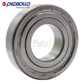 6206 2RS-C3E - Rulment cu bile 30x62x16 mm Pedrollo - 1