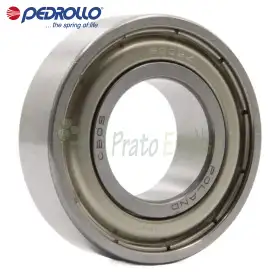 3205 A 2RS - Kugellager 25x52x20,6 mm Pedrollo - 1