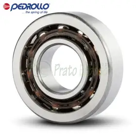 7203 B - Rulment cu bile 17x40x12 mm Pedrollo - 1
