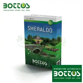 Esmeralda - 1 kg de semillas de césped