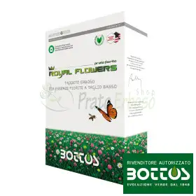 Royal Flowers - Semences pour gazon 1 kg - Bottos