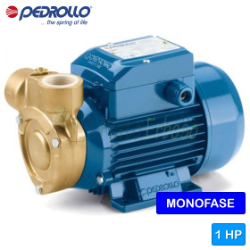 PQm 81-Bs - Pompe électrique avec roue périphérique monophasée de 0,75