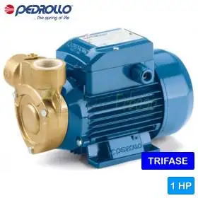 PQm 81-Bs - 0.75 HP single-phase peripheral impeller electric pump