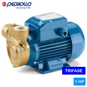 PQm 81-Bs - Pompă electrică cu rotor periferic monofazat de 0,75 CP