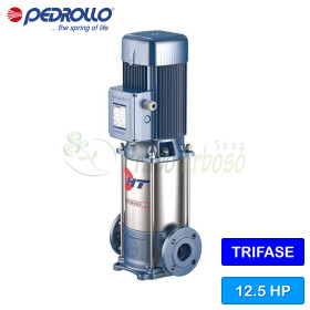 HTm 3/4 - 1 PS einphasige vertikale mehrstufige elektrische Pumpe Pedrollo - 1