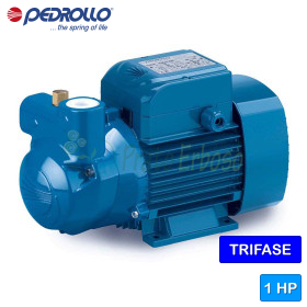 CKRm 90 - Electrobomba autoaspirante de anillo líquido monofásica de 1 HP Pedrollo - 1
