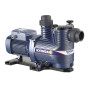 MAGNIFICA 1R - 0.60 HP three-phase electric pool pump