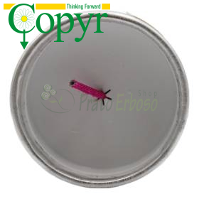 Copyr Smoke - Insetticida fumogeno da 60 gr Copyr - 1