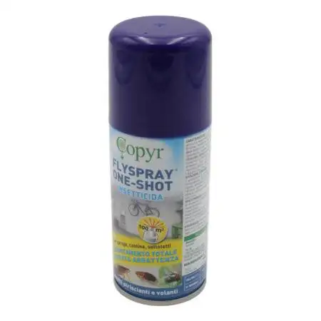 Fly Spray One Shot 150 ml aerosol insecticide for indoor use