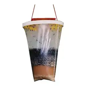 Fly Trap - Ecological Trap