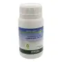 Water Plus - Agente surfattante ed umettante per prato da 250 g