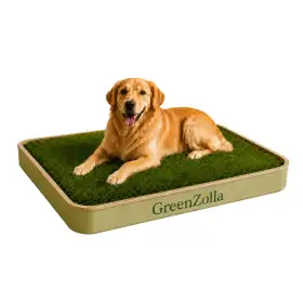GreenZolla - Așternut ecologic de gazon real Prato Erboso - 1