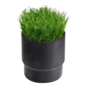 SOD CUP - sod holder