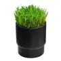 Chapeau en caoutchouc TORO Irrigazione - 2