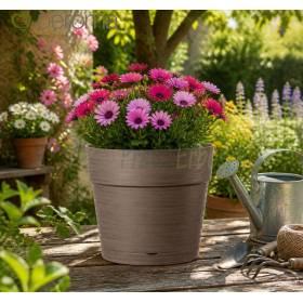 Save pot - 20cm round camel pot Deroma - 1