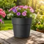 Save pot - 24.5 cm round anthracite pot