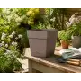 Save Square pot - Vaso quadro da 17 cm camel