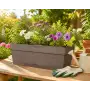 Save window box - Vaso a cassetta da 49 cm camel