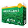 Bermudagrass - Sementi per prato da 500 g OFFERTA