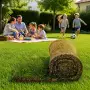 40 m2 Fertigrasen in Rollen