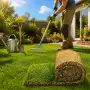 80 m2 de gazon gata făcut în rulouri