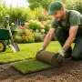 110 m2 of ready-made lawn in rolls