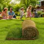 200 m2 Fertigrasen in Rollen