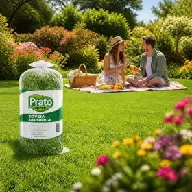 SUPER Meadow Prato Erboso - 1