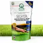 Silver – 1,2 kg Rasensamen