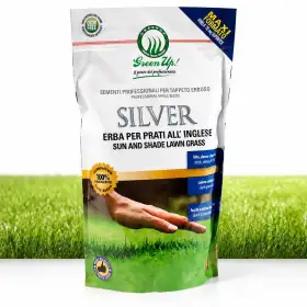 Silver – 1,2 kg Rasensamen Herbatech - 1
