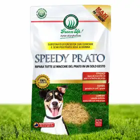 Semințe de gazon Speedy Prato - 1,5 kg