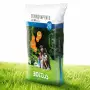 Rinnovaprato - Sementi per prato da 20 kg