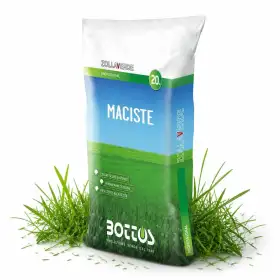 Maciste - Semences pour gazon 20 kg