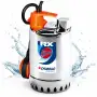 RXm 3 (5m) - 0,75 PS Einphasen-Klarwasserpumpe