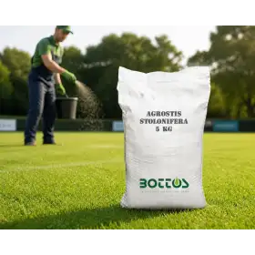 Agrostide Stolonifera Alpha - 1kg Rasensamen Bottos - 1