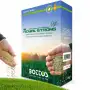Royal Strong Plus - 1 kg de semillas para césped