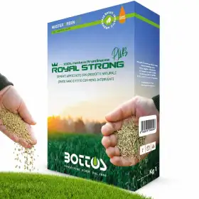 Royal Strong Plus - 1 kg Lawn Seed