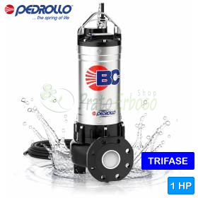 BC-4 – ZWEIKANAL-Elektropumpe für einphasiges Abwasser, 1 PS Pedrollo - 1
